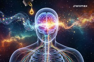 Hogyan hatnak az illóolajok az idegrendszerünkre?